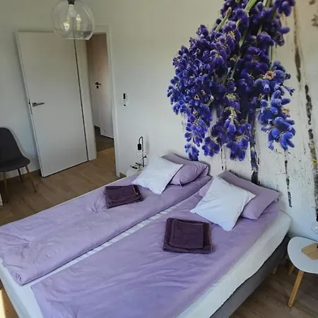 Lawenda I Rumianek * Mielno (Koszalin)